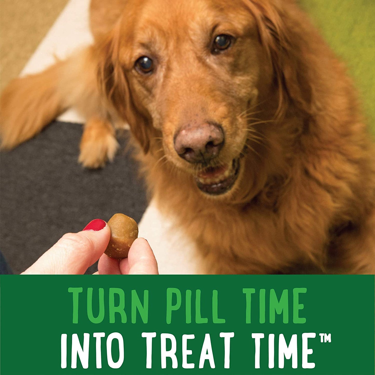 GREENIES PILL POCKETS for Dogs Capsule Size Natural Soft Dog Treats with Real Peanut Butter (60 Treats)