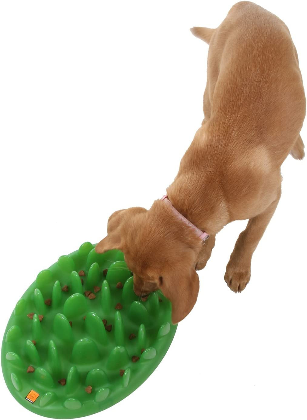 GREEN Interactive Feeder, Large