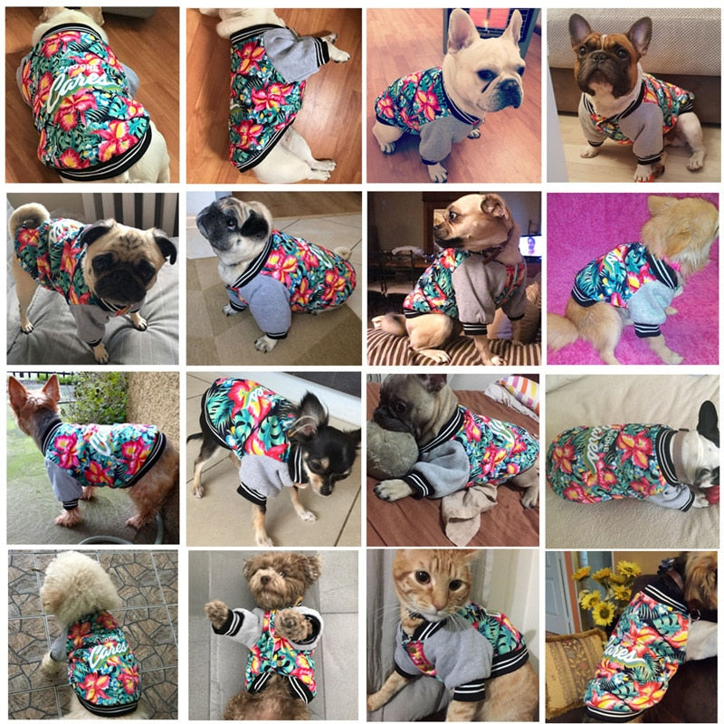 Warm Small Dog Coat