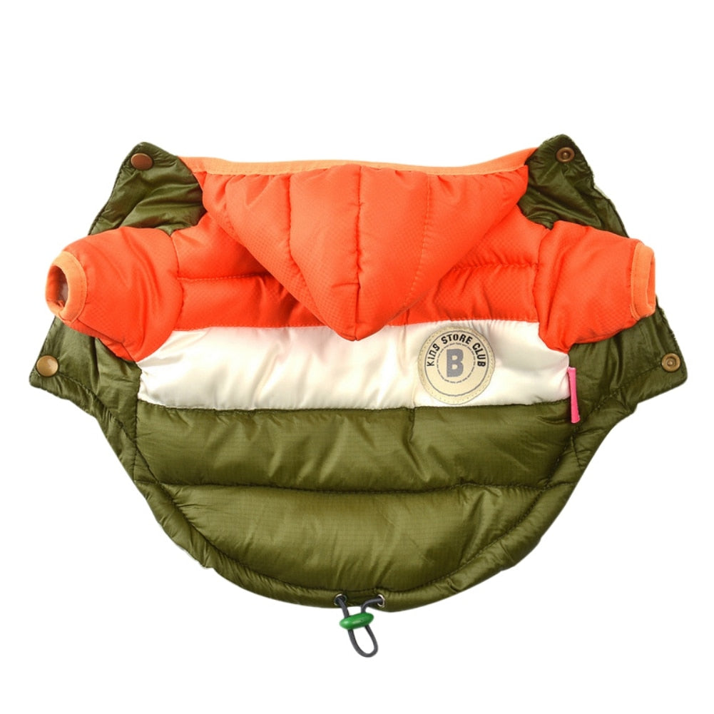 Winter Dog Hoodie