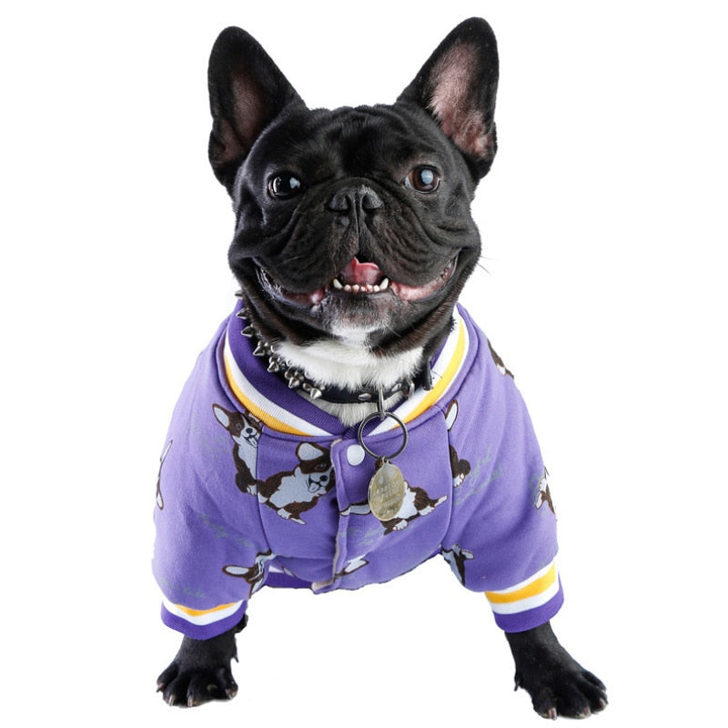Warm Small Dog Coat
