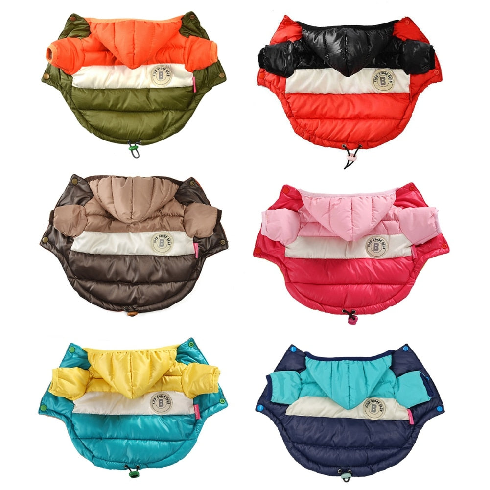 Winter Dog Hoodie