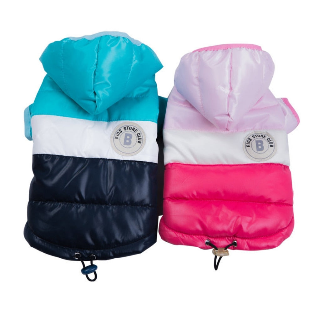 Winter Dog Hoodie