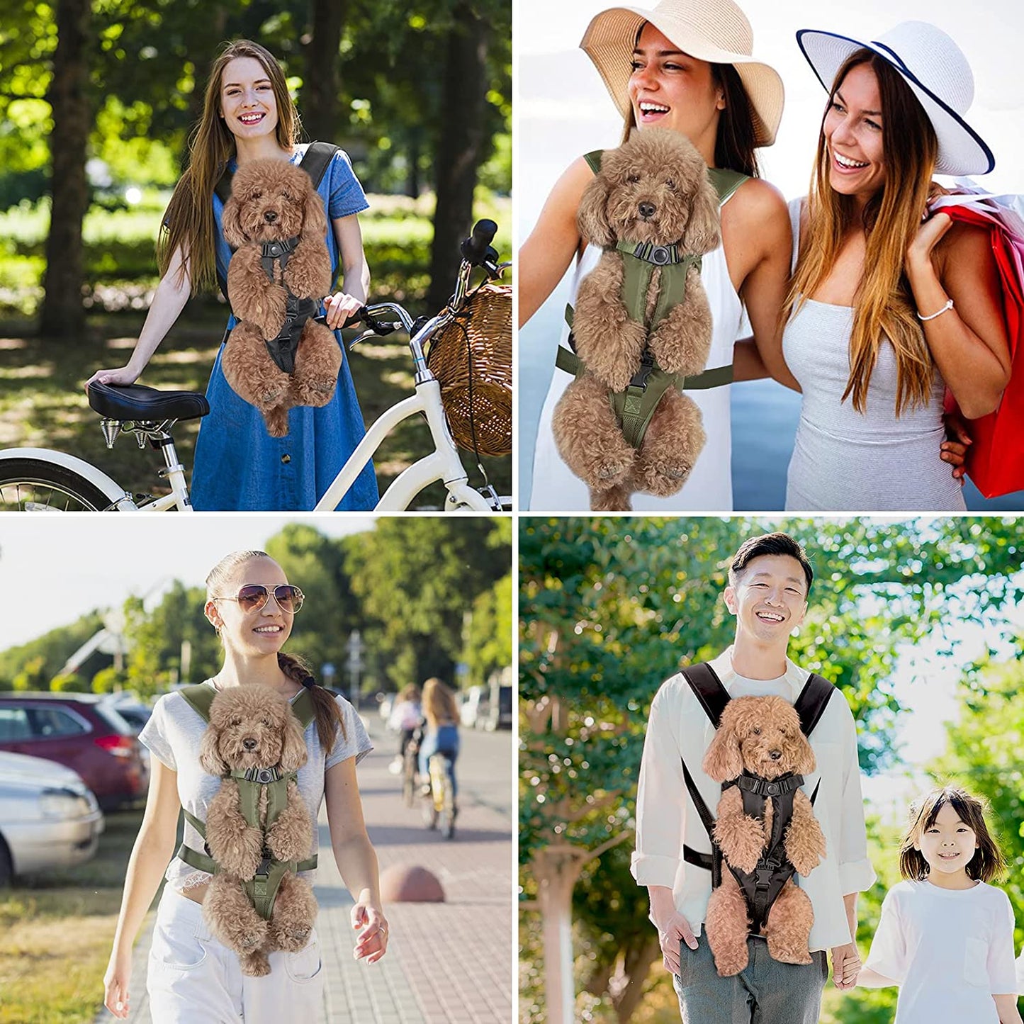 Pet Dog Carrier