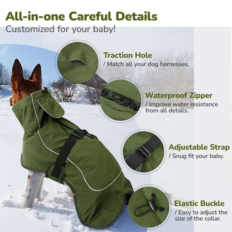 Winter Double-Layer Dog Jacket