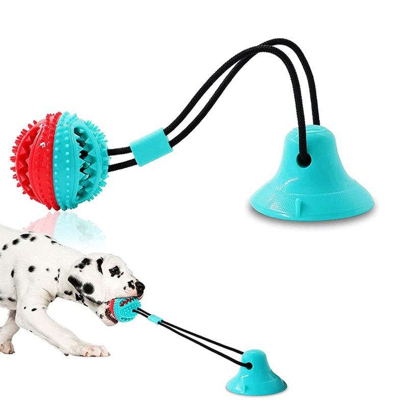 Interactive Dog Ball Toy
