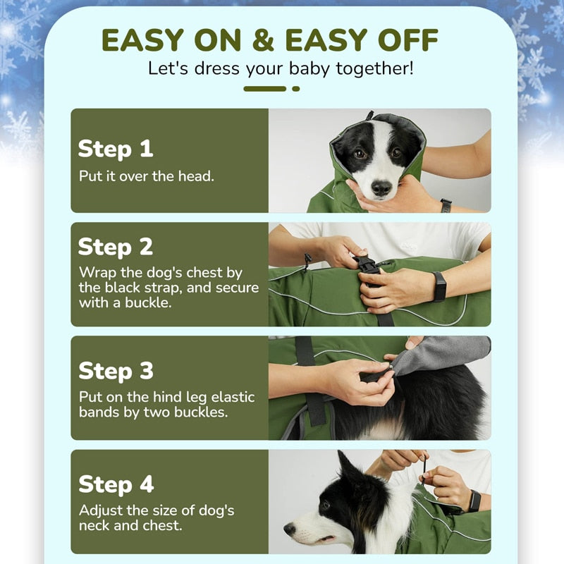 Winter Double-Layer Dog Jacket