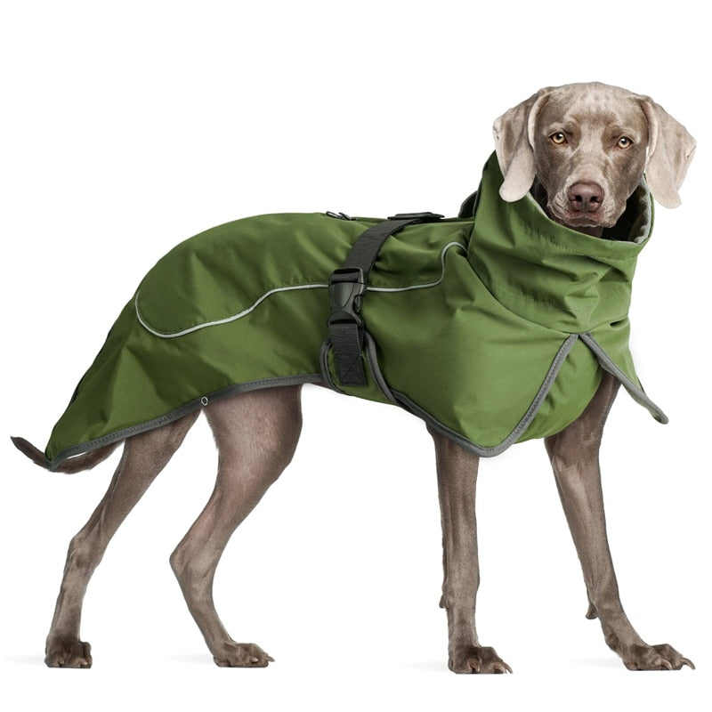 Winter Double-Layer Dog Jacket