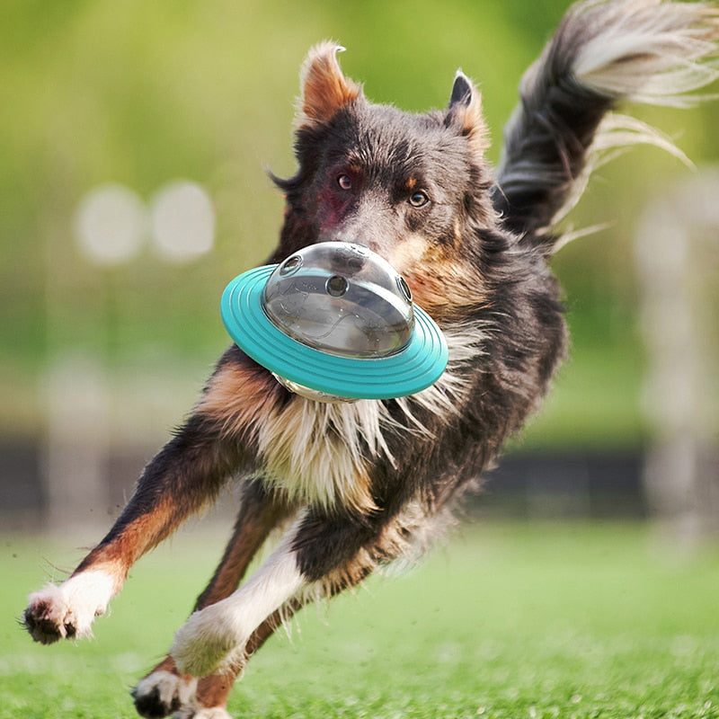 Anti-Choke Puzzle For Dogs