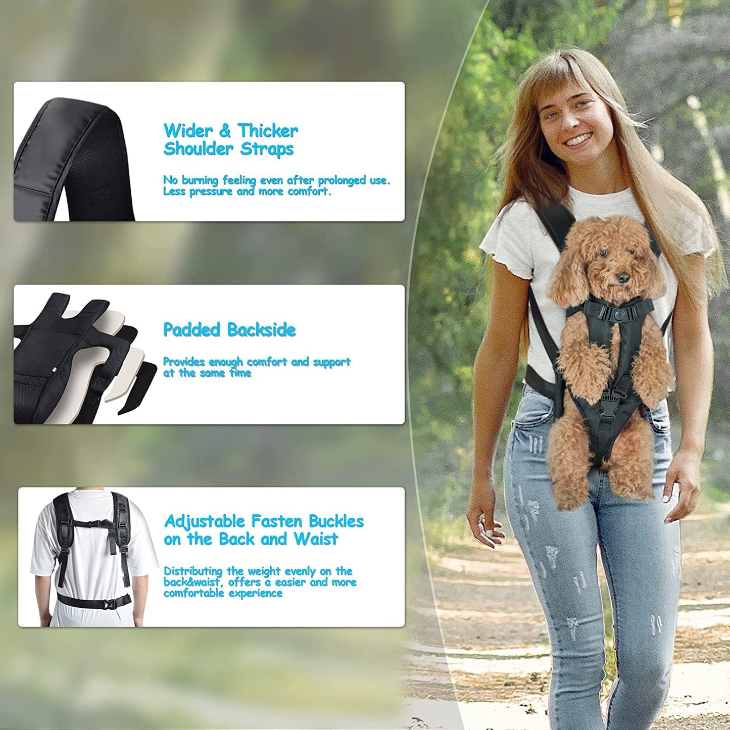 Pet Dog Carrier