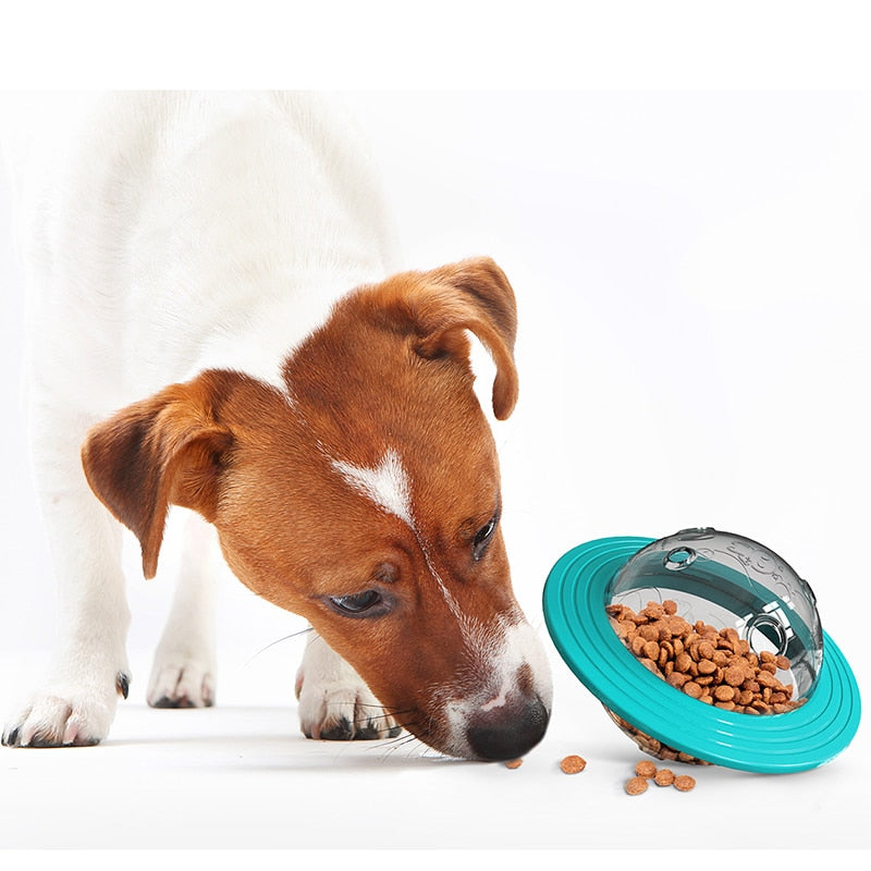 Anti-Choke Puzzle For Dogs