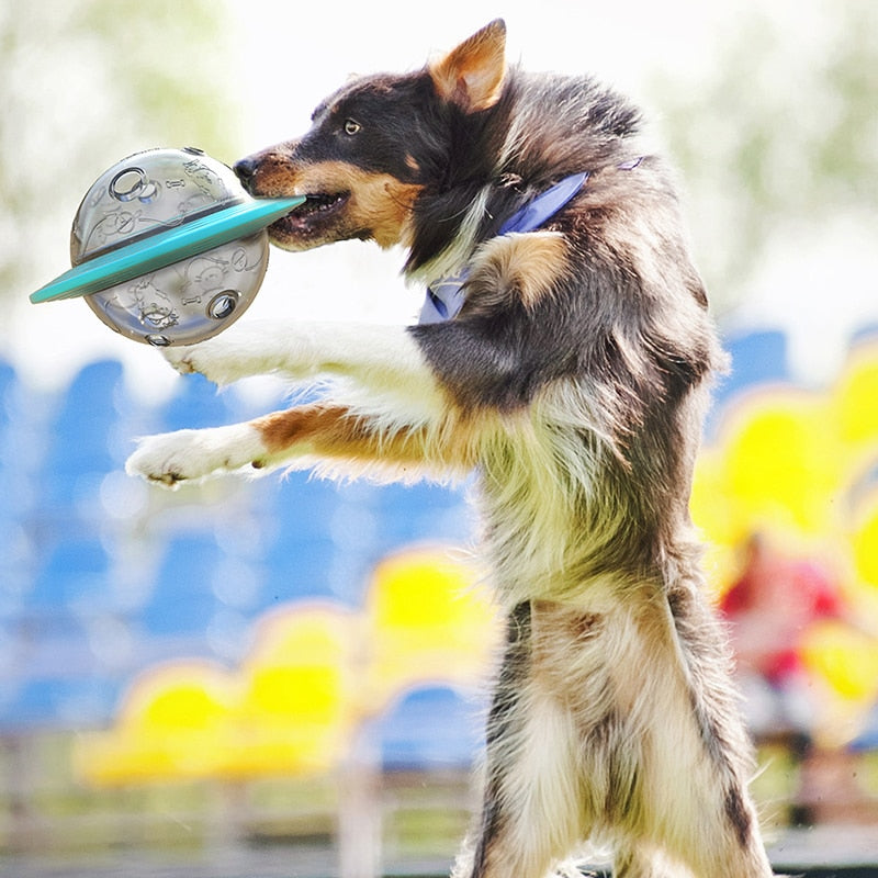 Anti-Choke Puzzle For Dogs