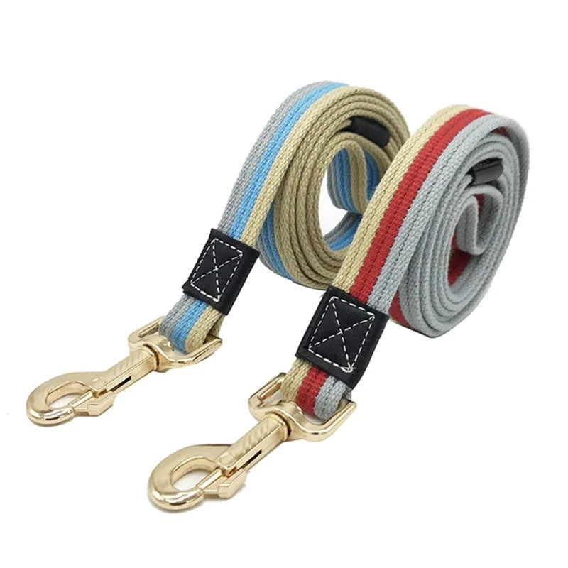 Leashes & Harnesses