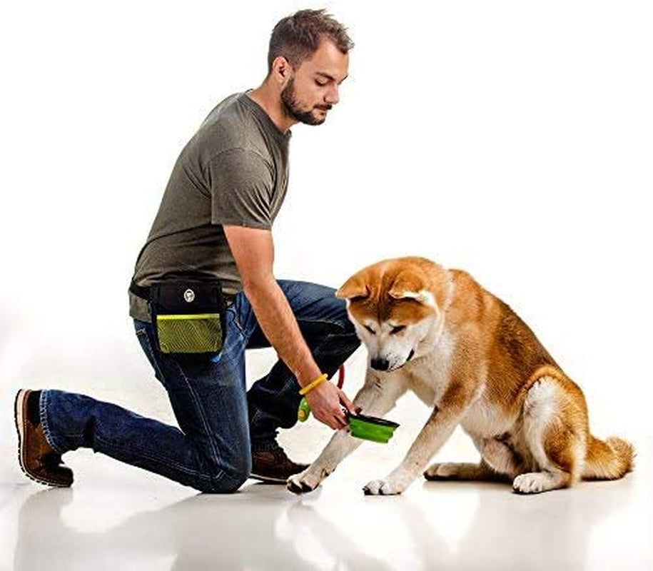Dog Treat Bag, Training Pouch with Clicker and Collapsible Food Bowl BPA Free 