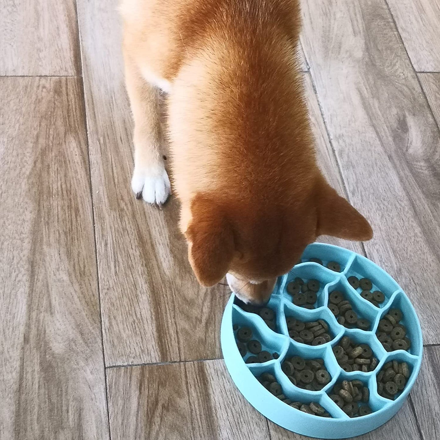 8 Inch Slow Feeder Pet Bowl