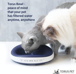 Autofill Mini Filtered Water Bowl (Charcoal) 