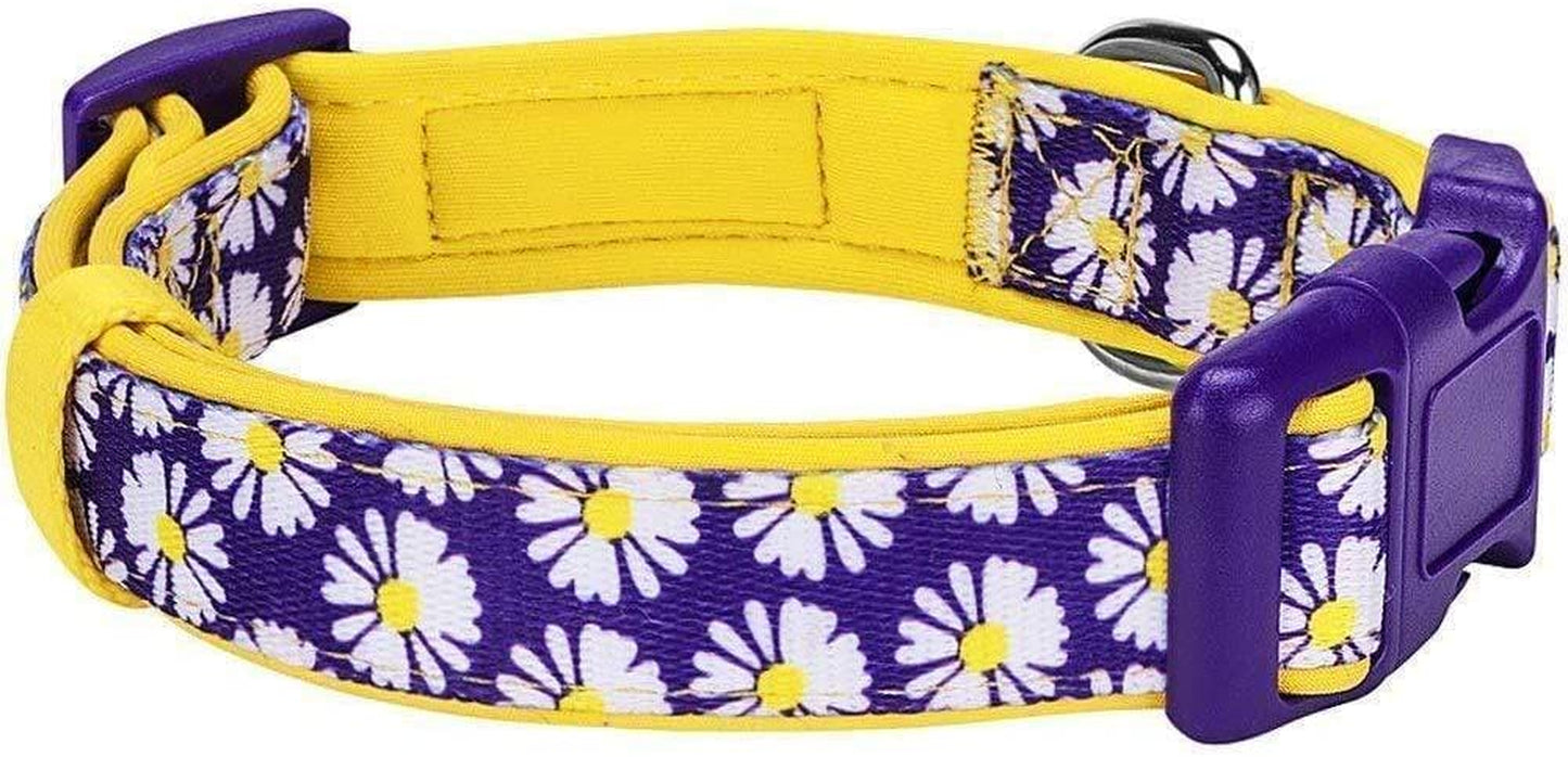 Daisy Prints Padded Adjustable Dog Collar, Small, Neck 12"-16"