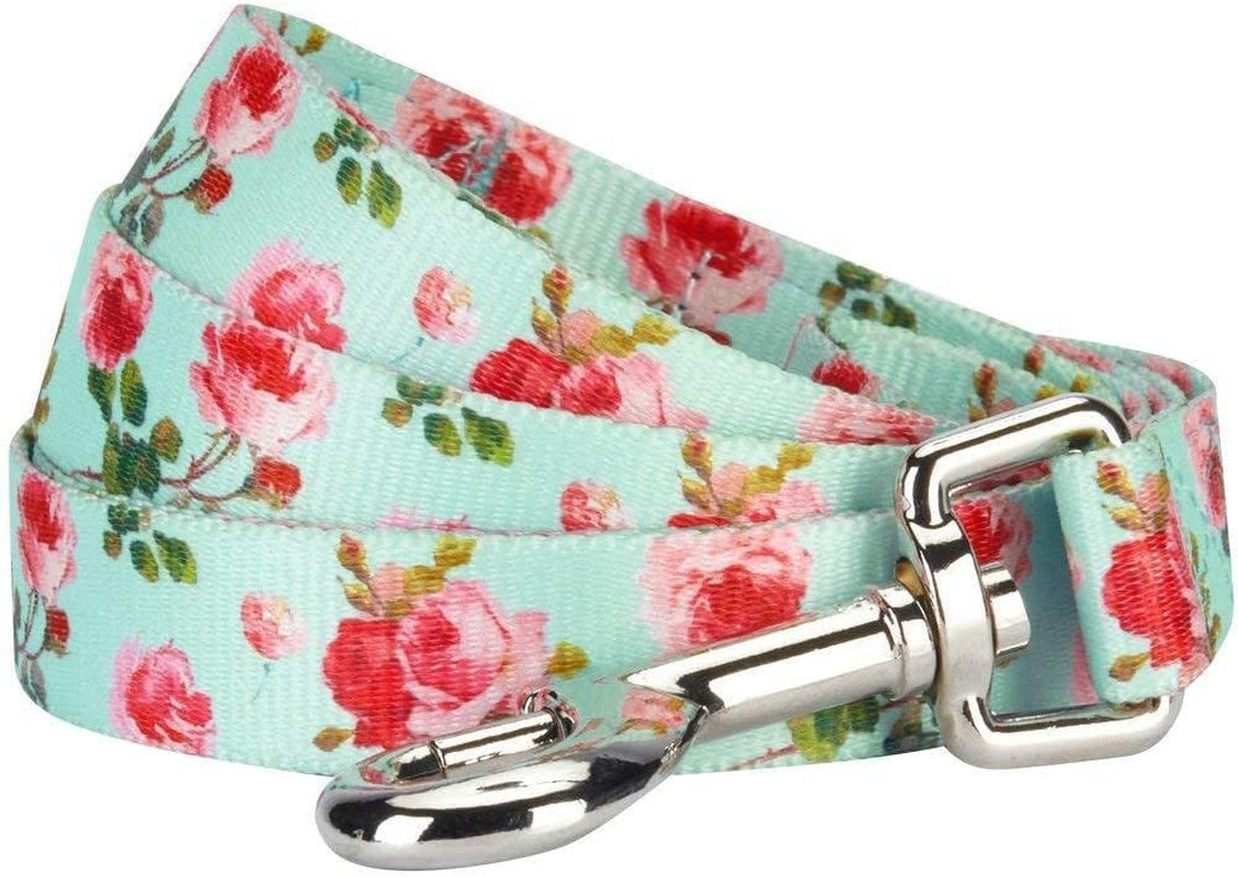 Durable Spring Scent Inspired Floral Rose Print Turquoise Dog Leash 5 Ft X 5/8", Small