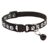 Dog Collar