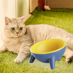 Cat and Dog Bowls, 15°Tilted Pet Bowls, Stable Stand Multi-Purpose 15 Oz Large Capacity Wide Pet Dish, Shallow Feeder Bowls Pet Water Bowl for Small Dogs and Cat(Yellow)