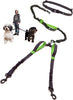 Black  Green / Two Small-Medium Dogs (20-35 Lbs Each)