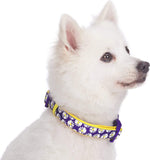 Daisy Prints Padded Adjustable Dog Collar, Small, Neck 12"-16"