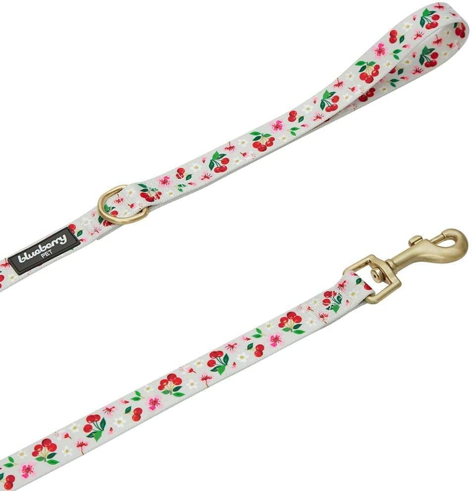 Cherry Garden 4 Ft Grey Dog Leash 