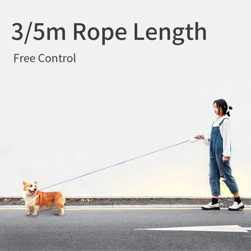 3M/5M Durable Dog Leash Automatic Retractable Nylon Cat Lead Extension Puppy Walking Running Lead Roulette for Dogs Pet Products