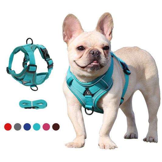 Breathable Dog Harness