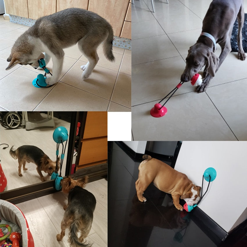 Interactive Dog Ball Toy