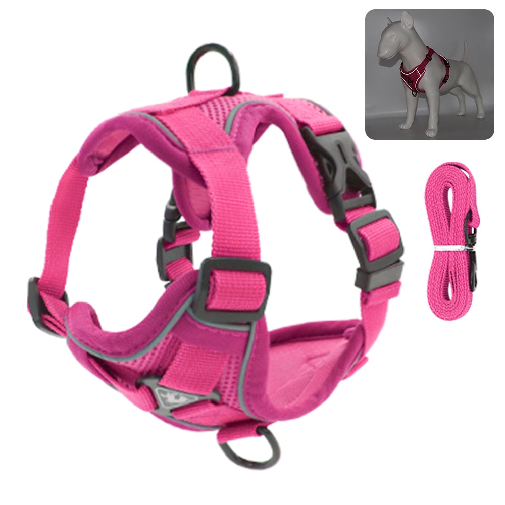 Escape Proof Cat Harness