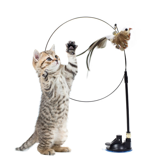Simulation Bird Interactive Cat Toy