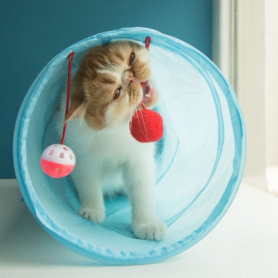 Cat Tunnel Toy