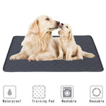 Training Pad Dog Bed