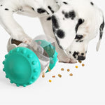 Pet Food Interactive Slow Feeder Funny Toy