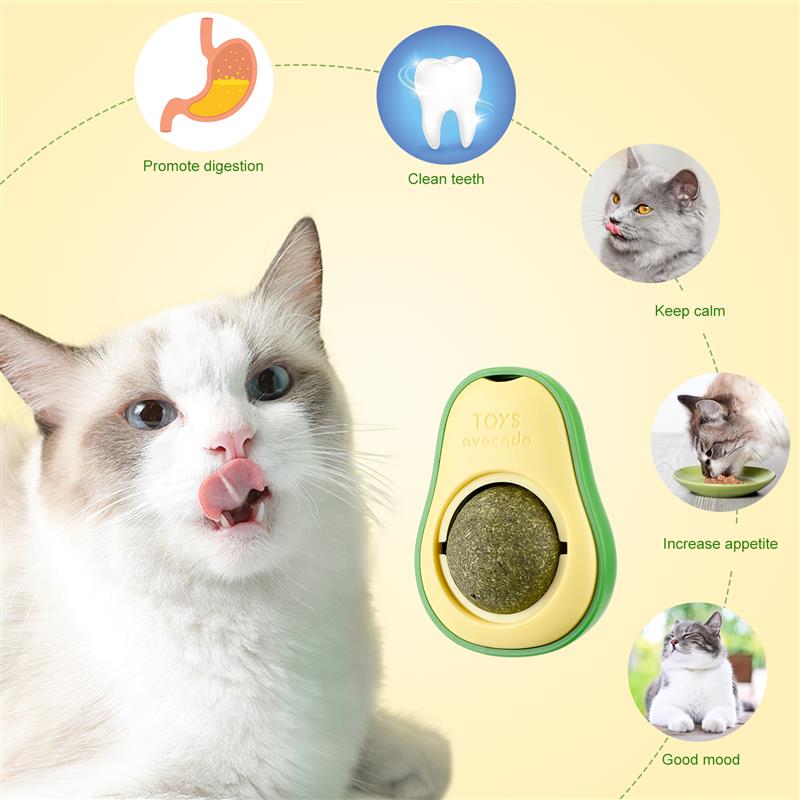 Avocado catnip licking 360° wall stick ball for cats - Free Shipping