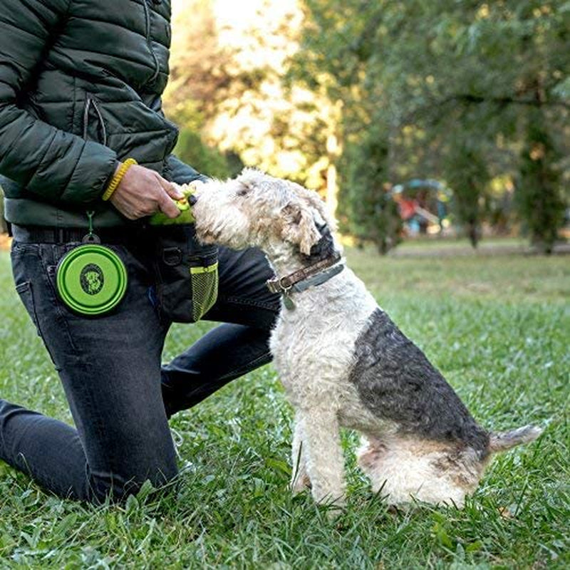 Dog Treat Bag, Training Pouch with Clicker and Collapsible Food Bowl BPA Free 