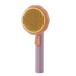 Pet Pumpkin Brush