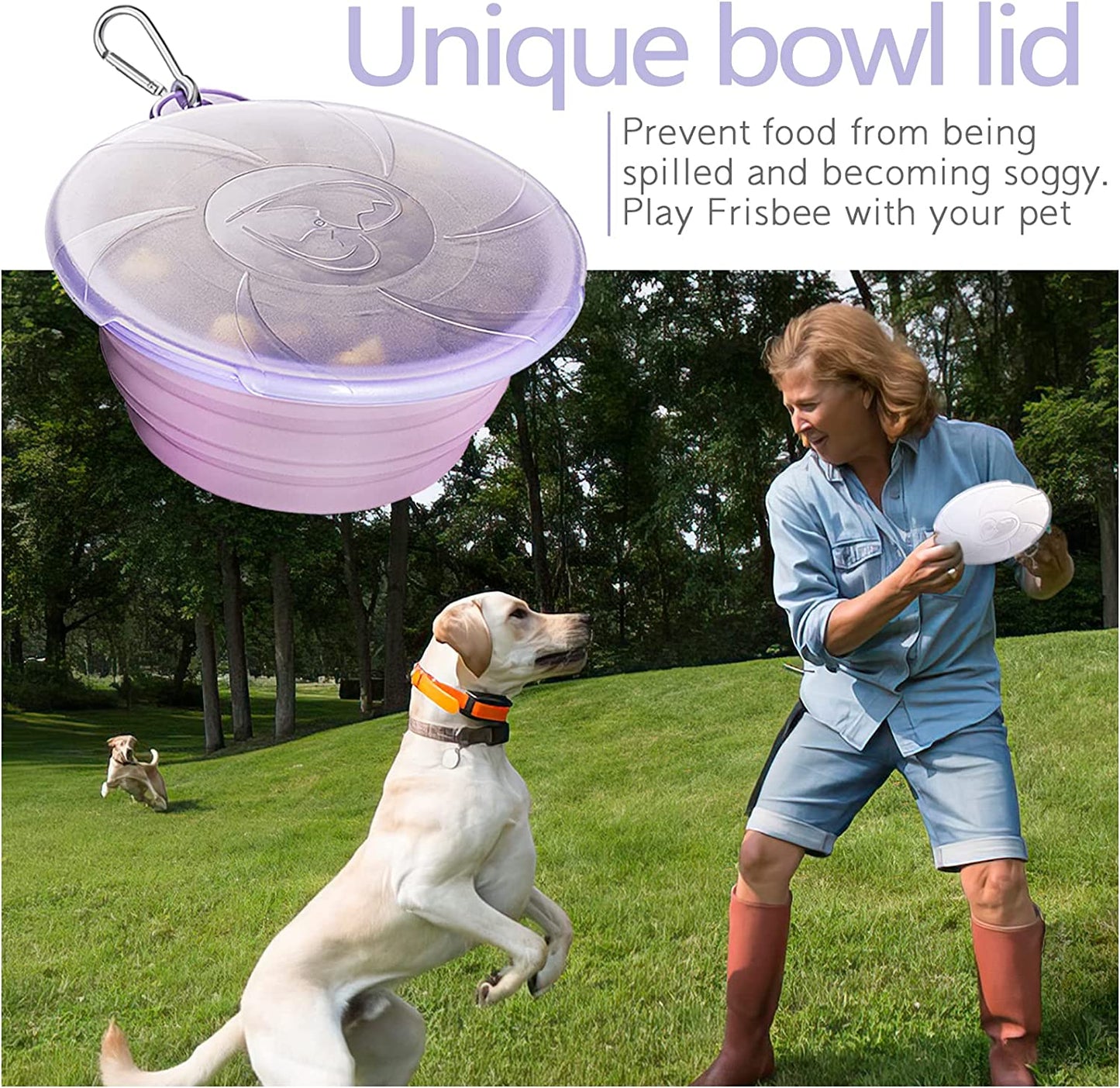 Collapsible/Portable Pet Bowl