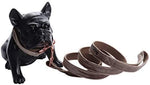 Adjustable Velvet Dog Collar and Leash Set