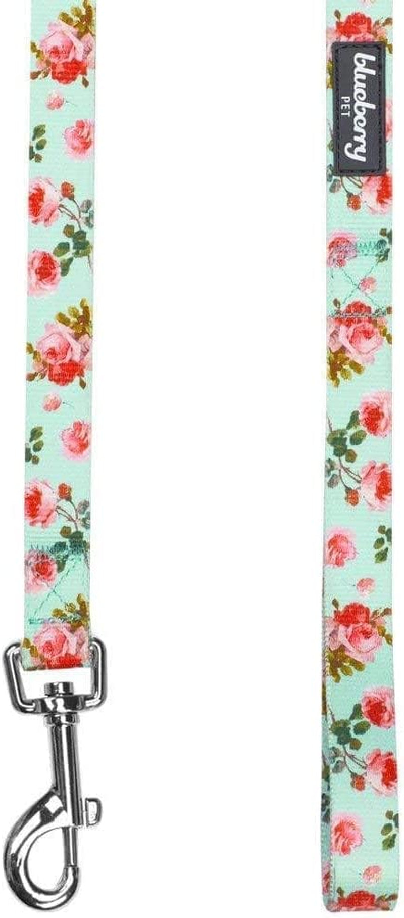 Durable Spring Scent Inspired Floral Rose Print Turquoise Dog Leash 5 Ft X 5/8", Small