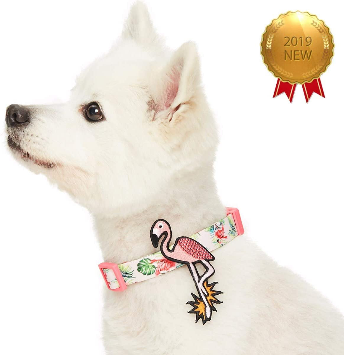 Hawaiian Palm Leaf Adjustable Dog Collar - 12"-16"