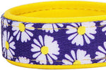 Daisy Prints Padded Adjustable Dog Collar, Small, Neck 12"-16"