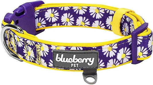 Daisy Prints Padded Adjustable Dog Collar, Small, Neck 12"-16"