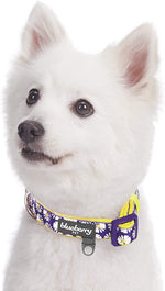 Daisy Prints Padded Adjustable Dog Collar, Small, Neck 12"-16"