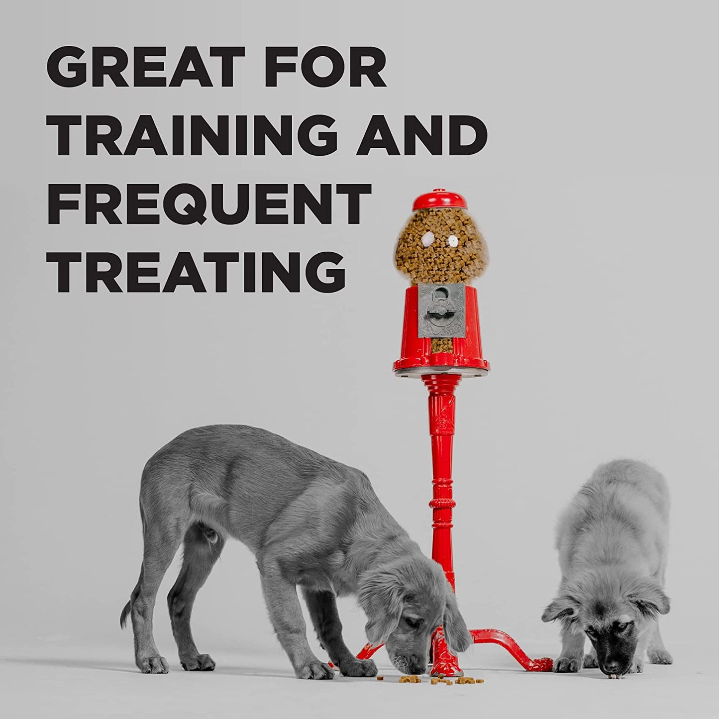 BIXBI Pocket Trainers, Bacon (6 Oz, 1 Pouch) - Low Calorie and Grain Free Dog Treats