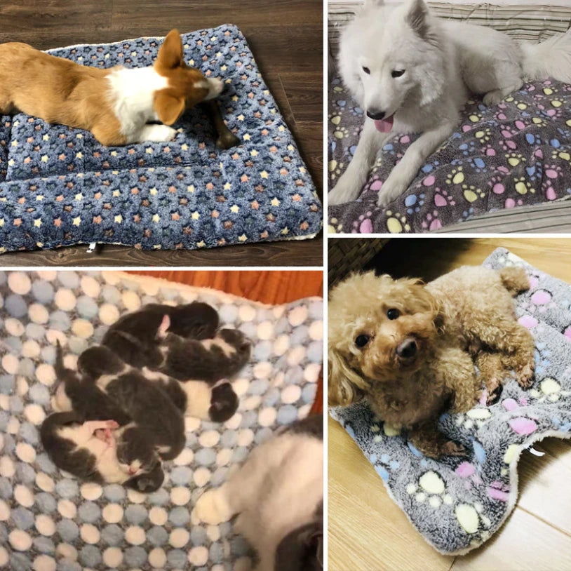 Pet Sleeping Mat Warm Dog Bed Soft Fleece Pet Blanket