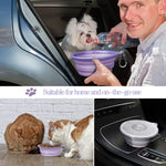 Collapsible/Portable Pet Bowl