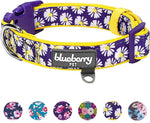 Daisy Prints Padded Adjustable Dog Collar, Small, Neck 12"-16"